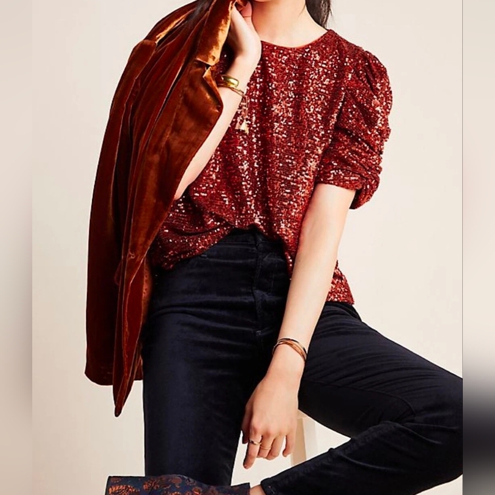 Anthropologie Marie sequin puff-sleeve top Size 6 New Without Tags